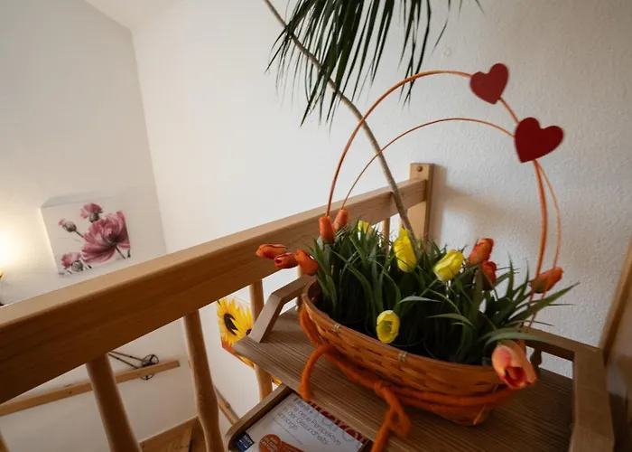 Olympia Neustift im Stubaital